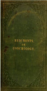 Harper's Young People, September 13, 1881 by Various