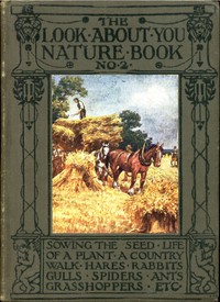 Harper's Young People, November 29, 1881 by Various