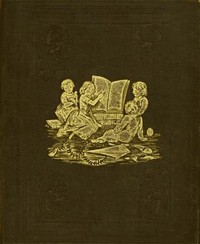 Frank and Fanny by Mrs. Bloomfield H. Moore