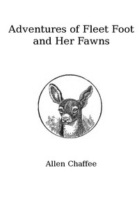 The Adventures of Fleet Foot and Her Fawns by Allen Chaffee